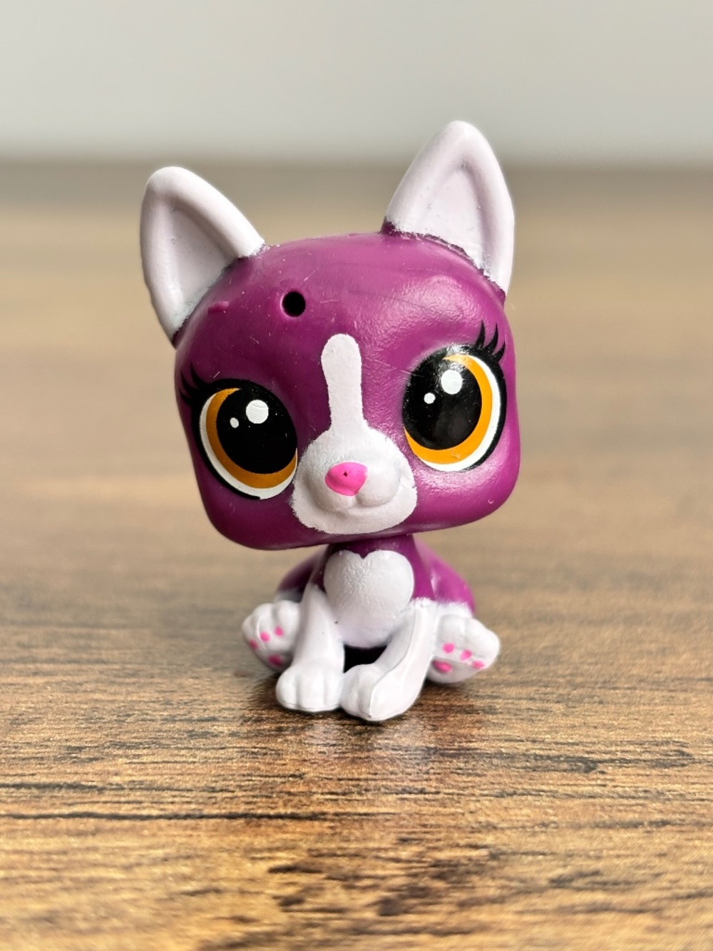 Littlest Pets Shop LPS #13 Purple Boston Terrier Dog Series 5 Figure Authentic